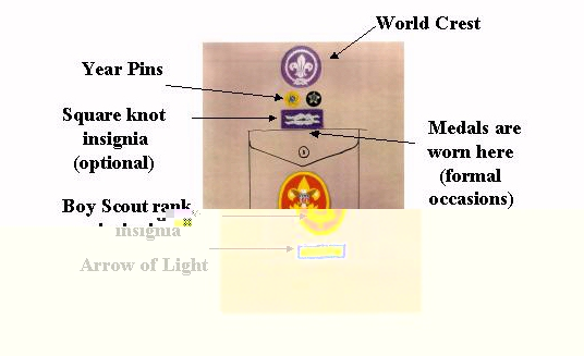 Graphic from template - front left side (with several program year pins)