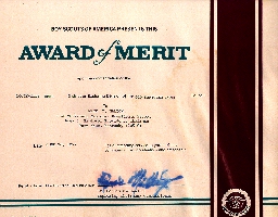 District/Division Award of Merit certificate