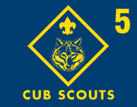 Cub Scout Den Flag