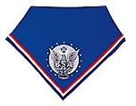 Eagle Scout neckerchief
