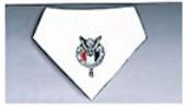 NESA neckerchief