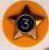 Cub Scout year pin example