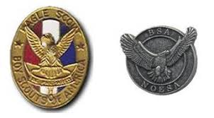 Distinguished/Outstanding Eagle Award pins