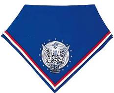 Eagle Scout neckerchief