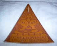 Leather badge example from WOSM member nation