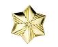 example of Girl Scout year pin