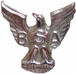 Older Eagle Scout 