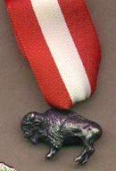 Silver Buffalo Award - National Service