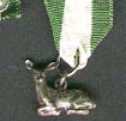 Silver Fawn Award - Local Council Service