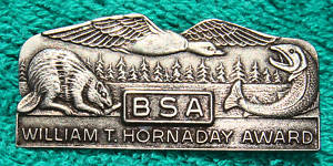 current version of Hornaday pin