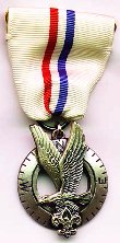 Second Silver Award knot emblem