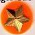 Tiger Cub Scout year pin