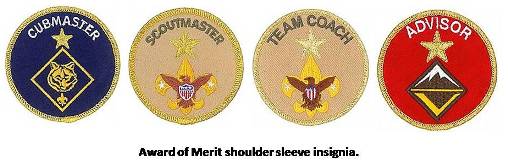 Unit Leader Award of Merit