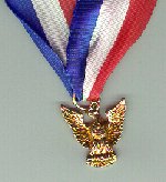 Distinguished Eagle Scout Award