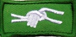 Silver Aligator Award (Troop)