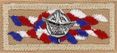National Outstanding Eagle Scout Award device shown on square knot emblem