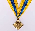 Cub Scouter Award