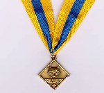 Cub Scouter Award