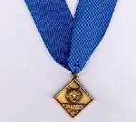 Den Leader Coach Award