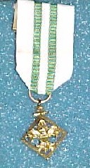 Old Den Leader Training Award
