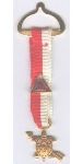 Order of the Arrow 75th Anniversary Acheivement Award ribbon with Vigil Honor pin attached