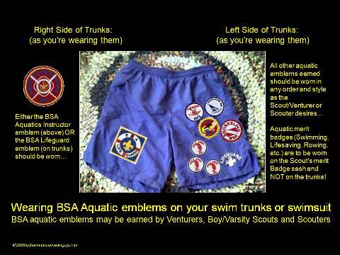 Aquatics Badges and how to wear them....
